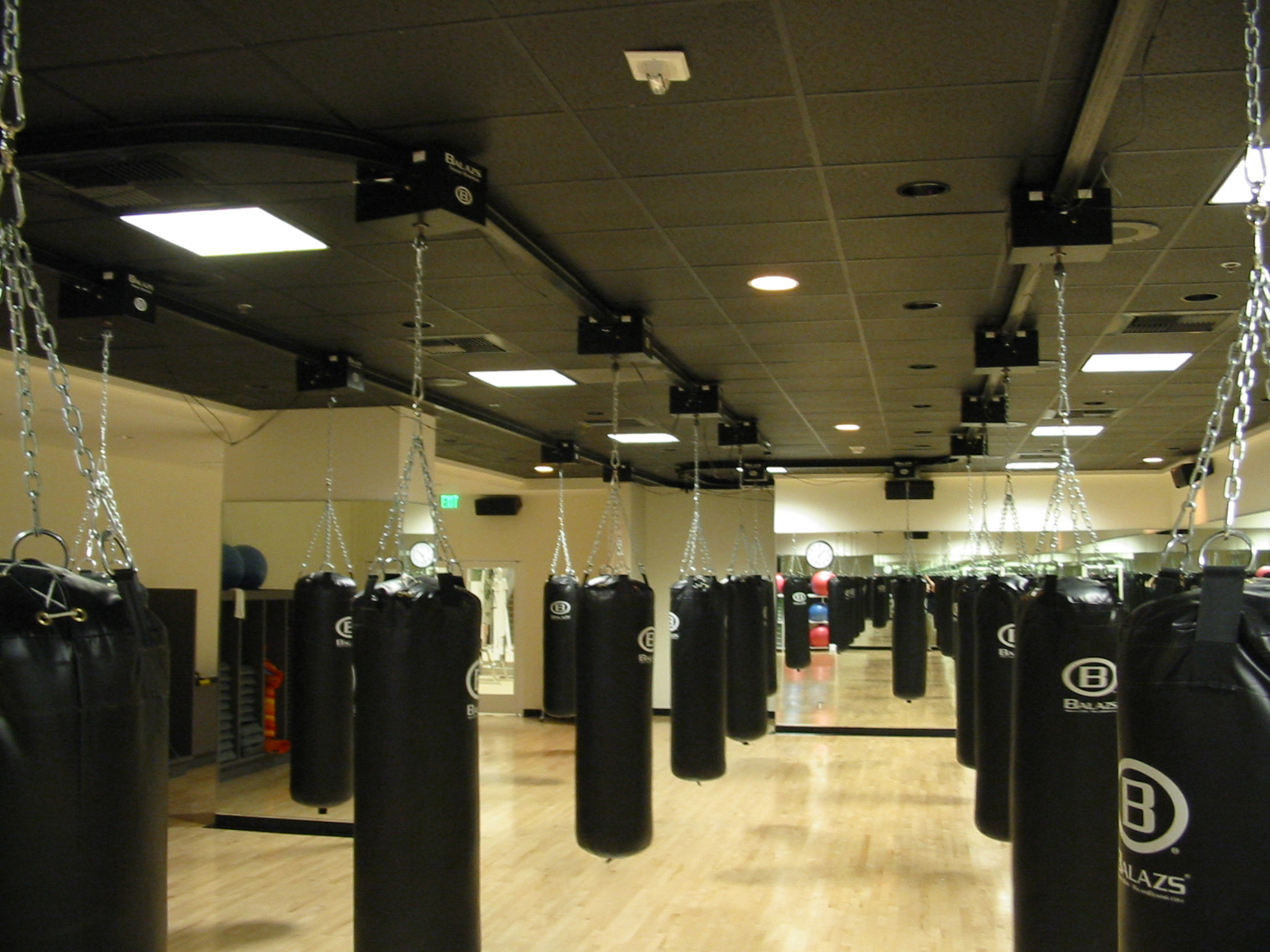 Balazs Ultra-Trak with bags deployed on black drop ceiling