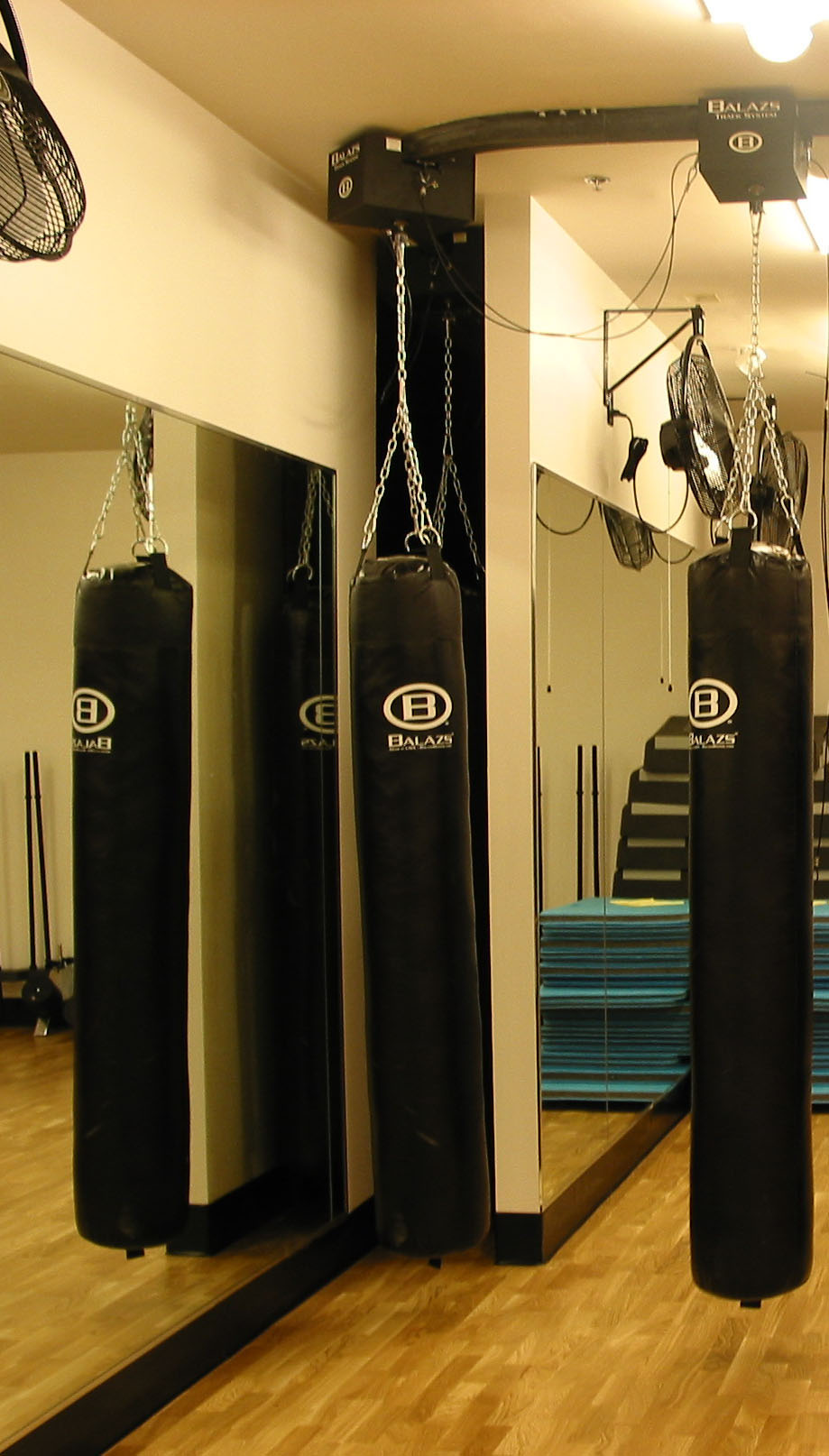 Balazs Ultra-Trak with bags stored in narrow closet